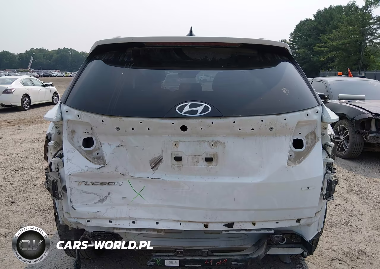 2024 Hyundai Tucson Sel VIN:5NMJFCDE2RH419684 - 17