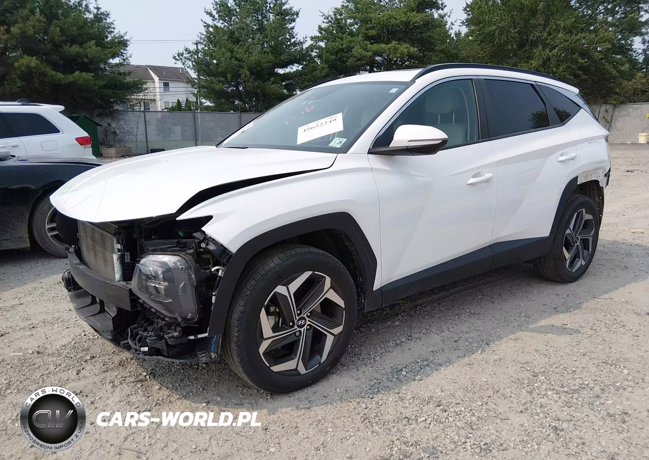 2024 Hyundai Tucson Sel VIN:5NMJFCDE2RH419684 - 2