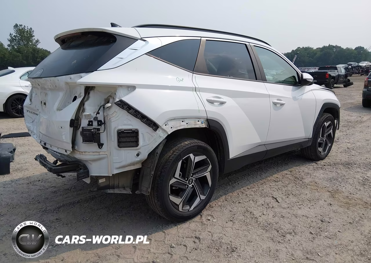 2024 Hyundai Tucson Sel VIN:5NMJFCDE2RH419684 - 4