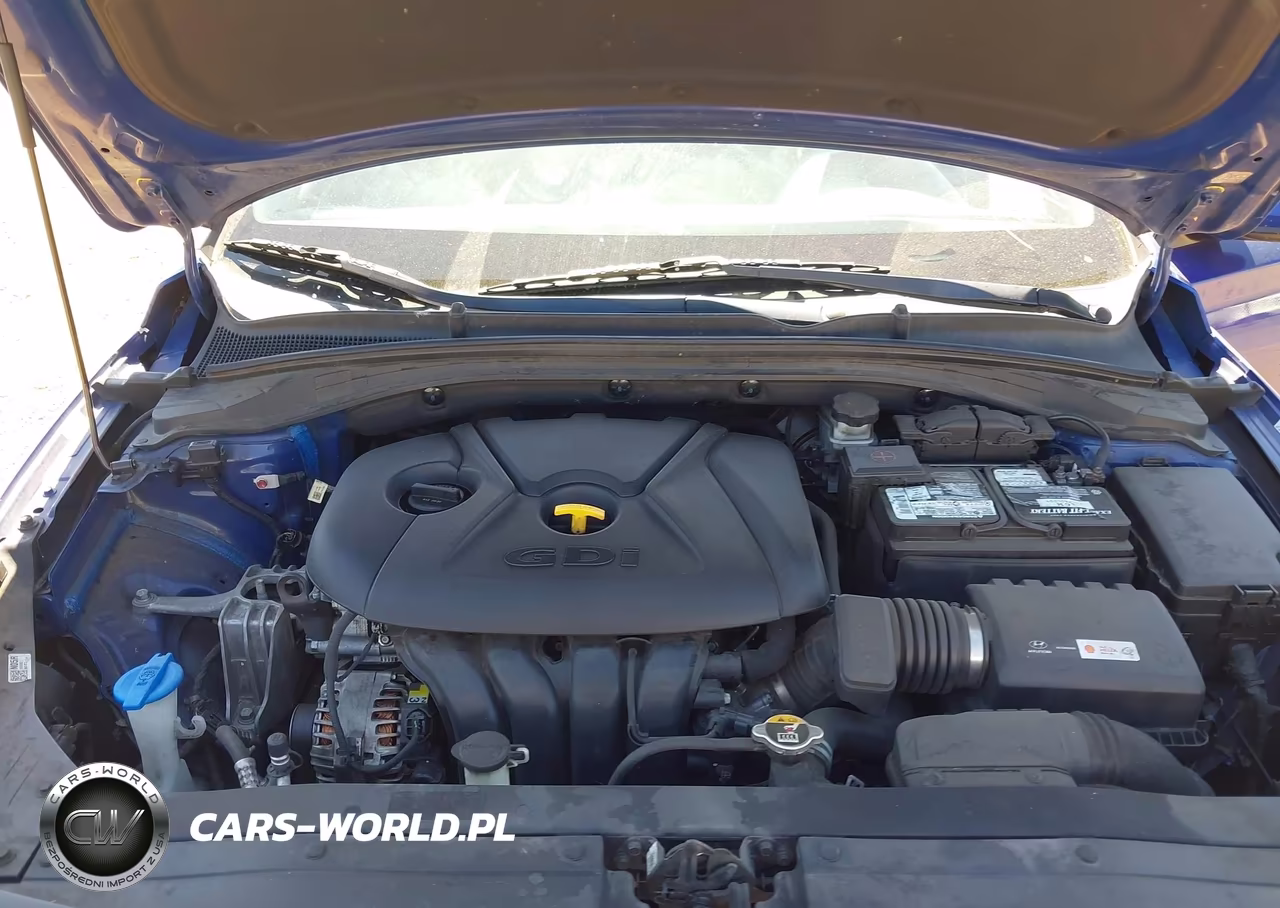 2019 Hyundai Elantra Gt VIN:KMHH35LE3KU099970 - 10