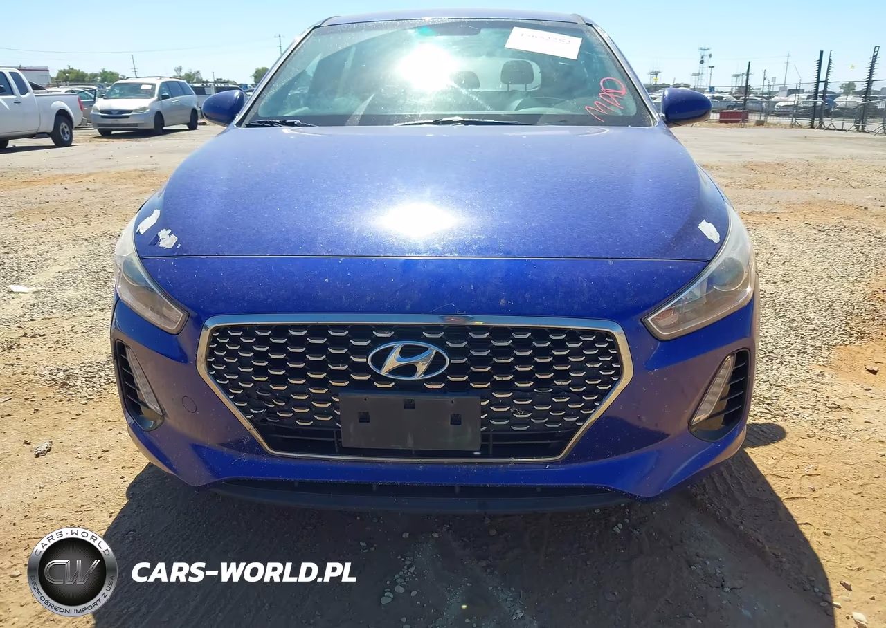 2019 Hyundai Elantra Gt VIN:KMHH35LE3KU099970 - 12