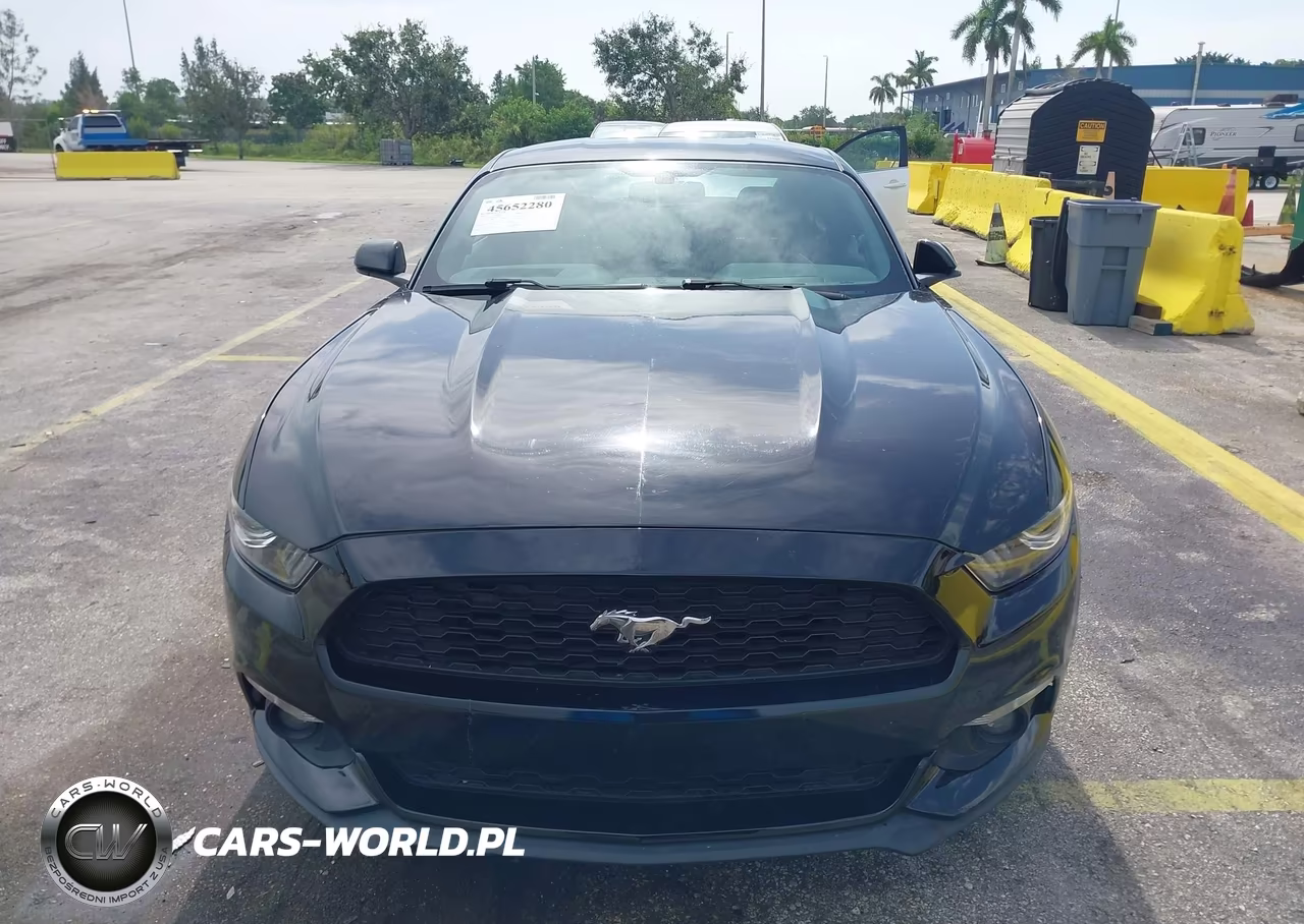 2016 Ford Mustang Ecoboost VIN:1FA6P8TH1G5309355 - 12