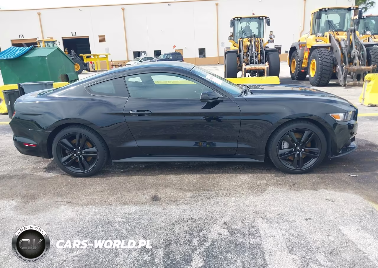 2016 Ford Mustang Ecoboost VIN:1FA6P8TH1G5309355 - 13