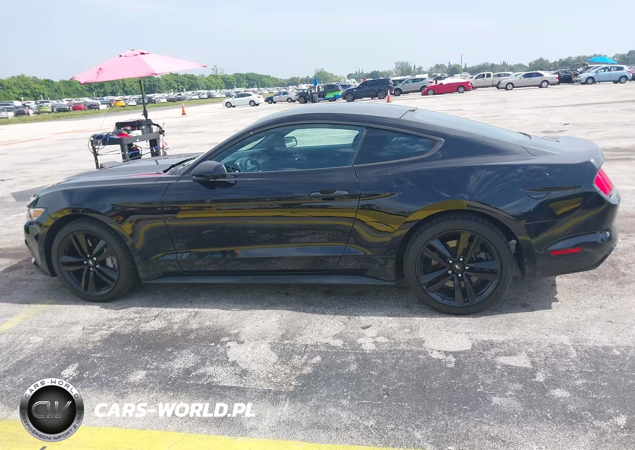 2016 Ford Mustang Ecoboost VIN:1FA6P8TH1G5309355 - 14