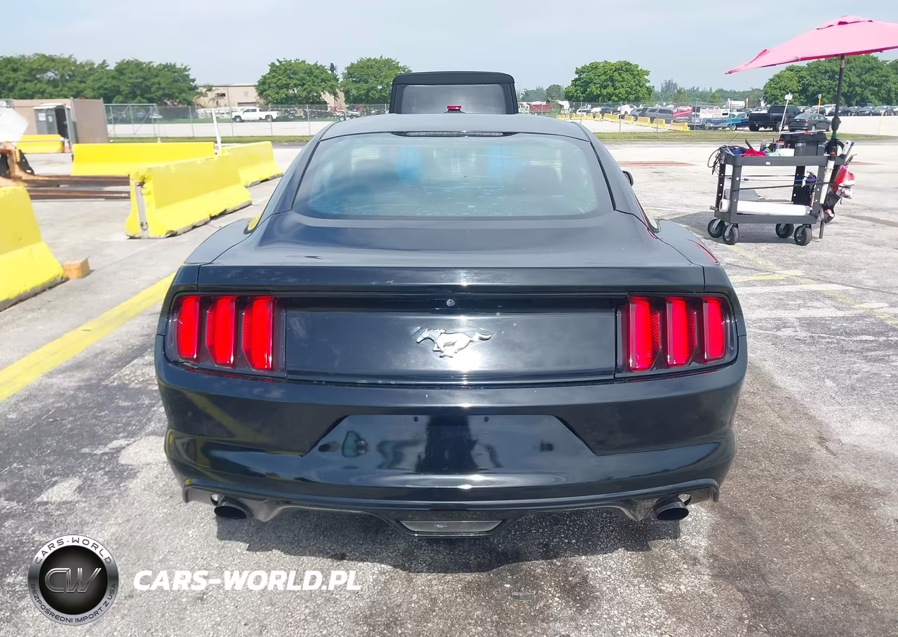 2016 Ford Mustang Ecoboost VIN:1FA6P8TH1G5309355 - 16