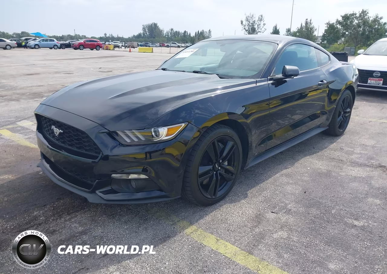 2016 Ford Mustang Ecoboost VIN:1FA6P8TH1G5309355 - 2