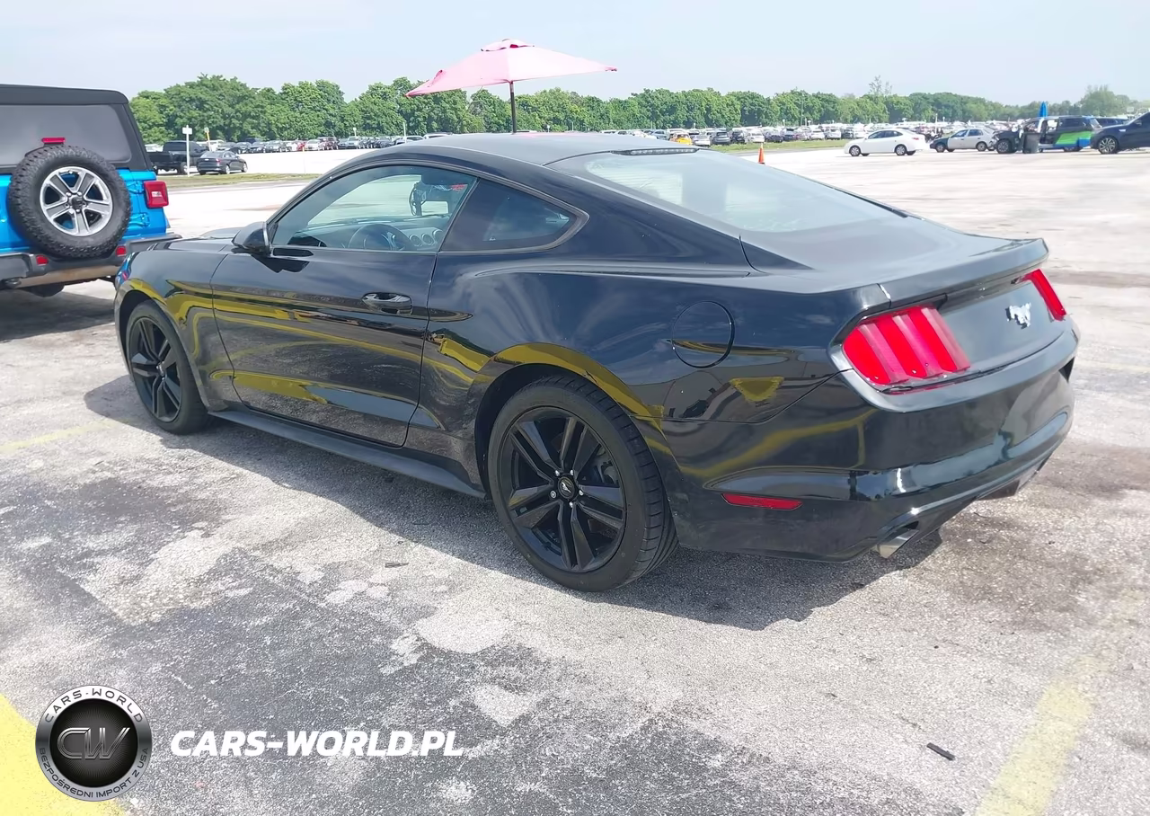 2016 Ford Mustang Ecoboost VIN:1FA6P8TH1G5309355 - 3