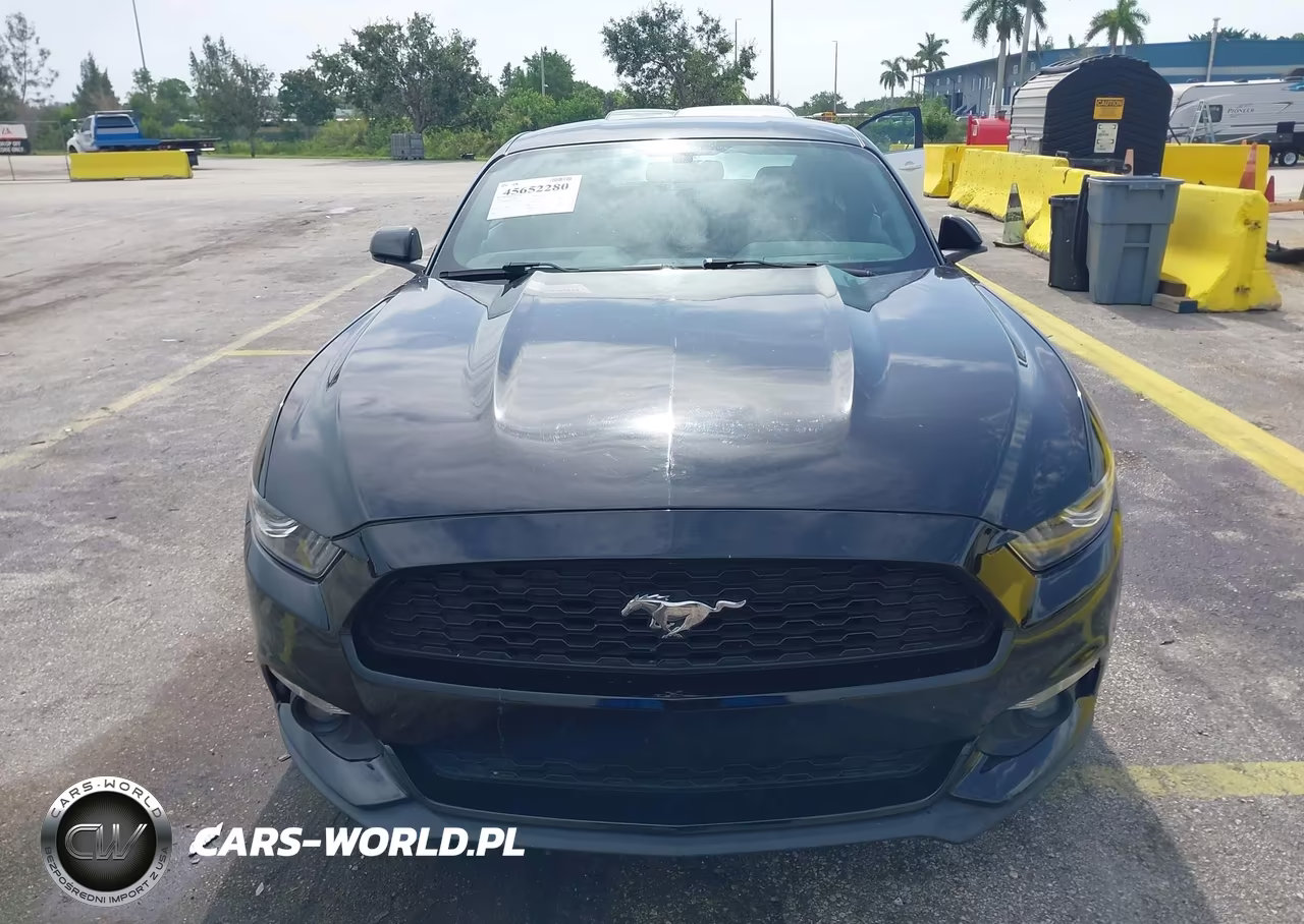 2016 Ford Mustang Ecoboost VIN:1FA6P8TH1G5309355 - 6