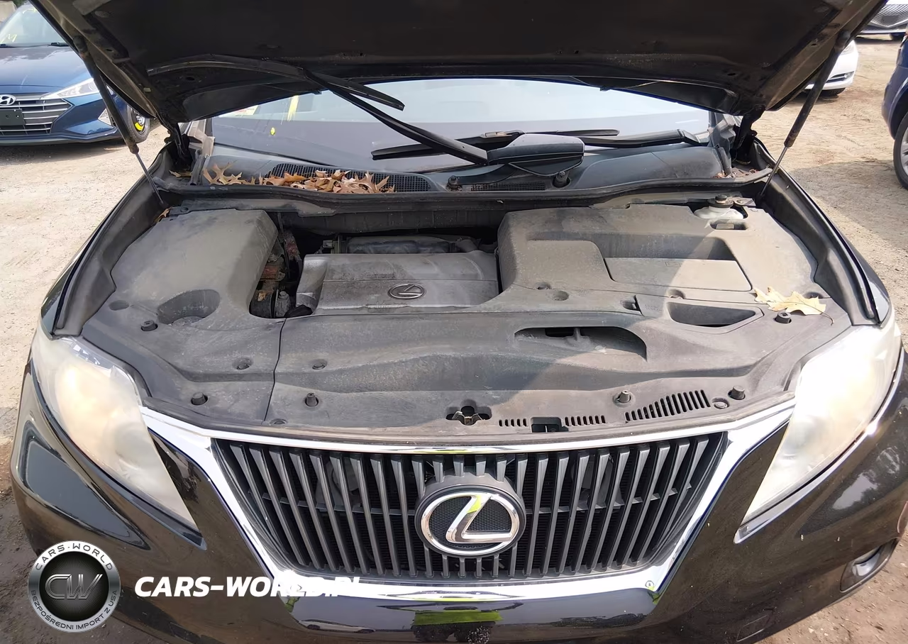 2010 Lexus Rx 350 VIN:2T2BK1BAXAC017244 - 10
