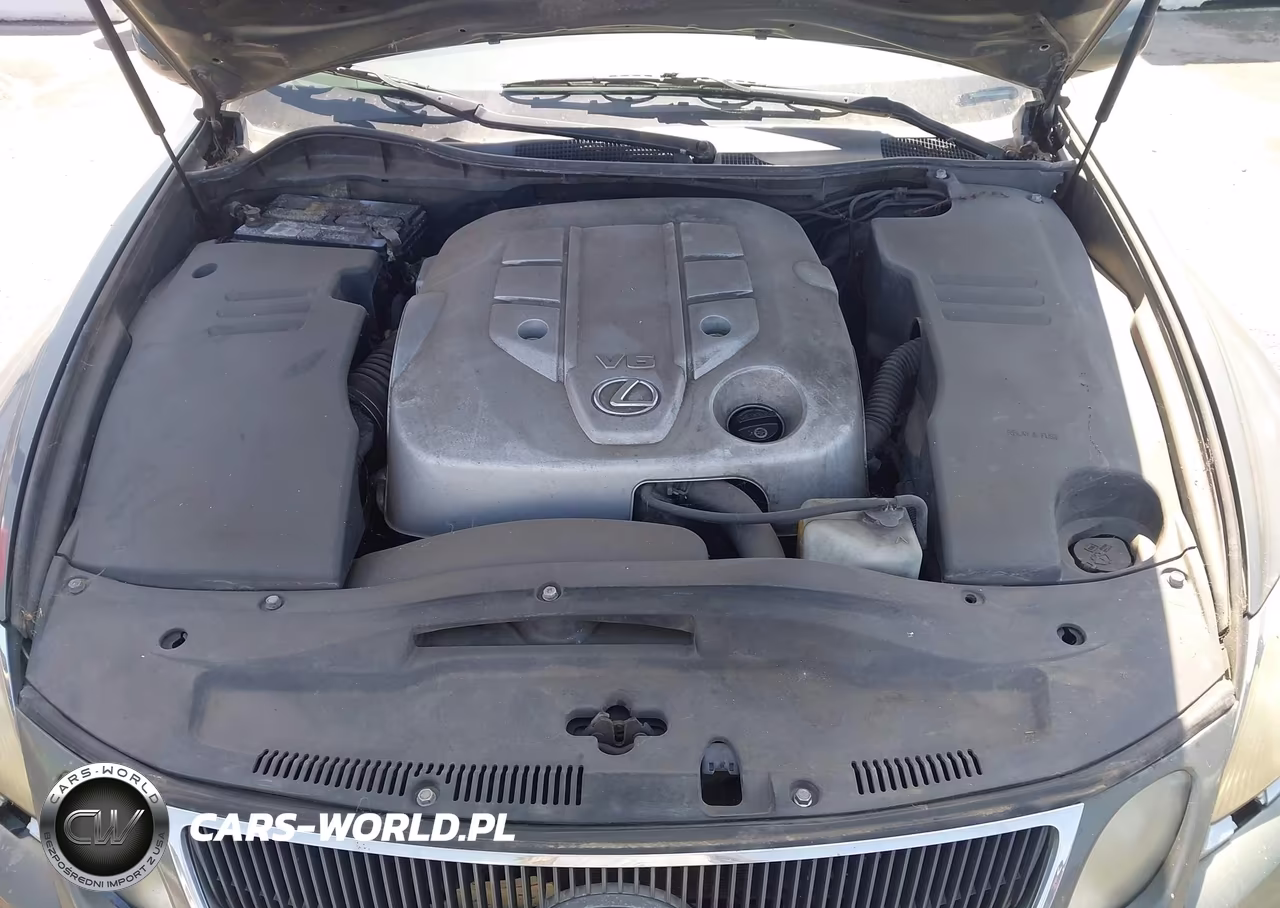2006 Lexus Gs 300 VIN:JTHBH96S865002930 - 10
