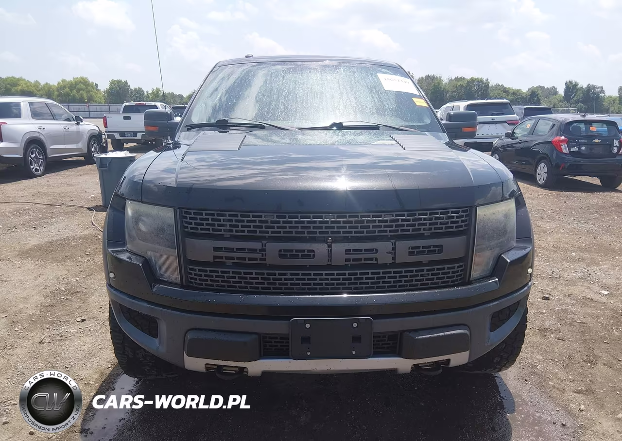 2013 Ford F-150 Svt Raptor VIN:1FTFW1R64DFE05643 - 12