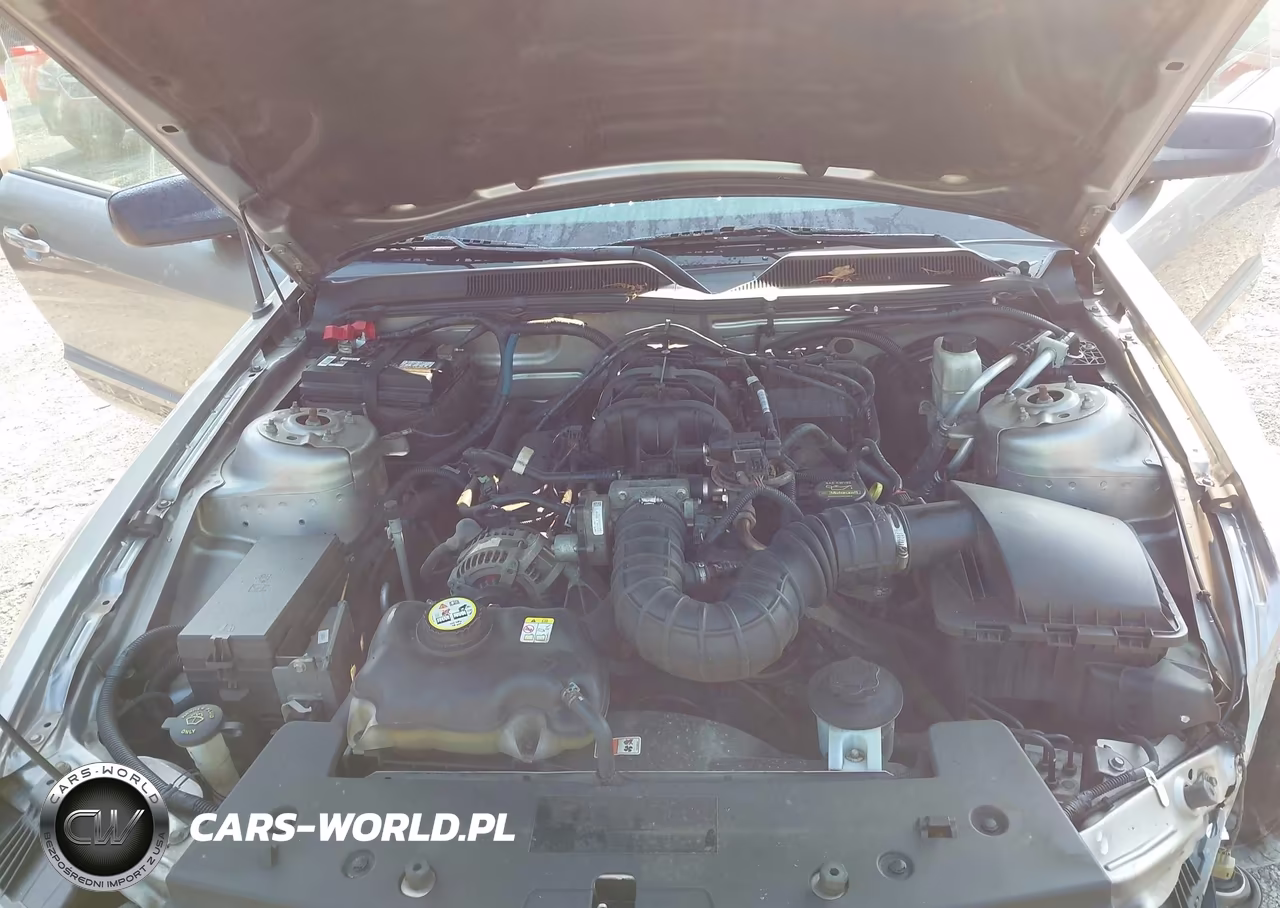 2009 Ford Mustang V6-V6 Premium VIN:1ZVHT84N395108706 - 10