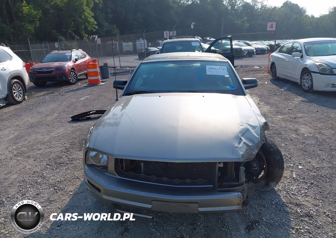 2009 Ford Mustang V6-V6 Premium VIN:1ZVHT84N395108706 - 12