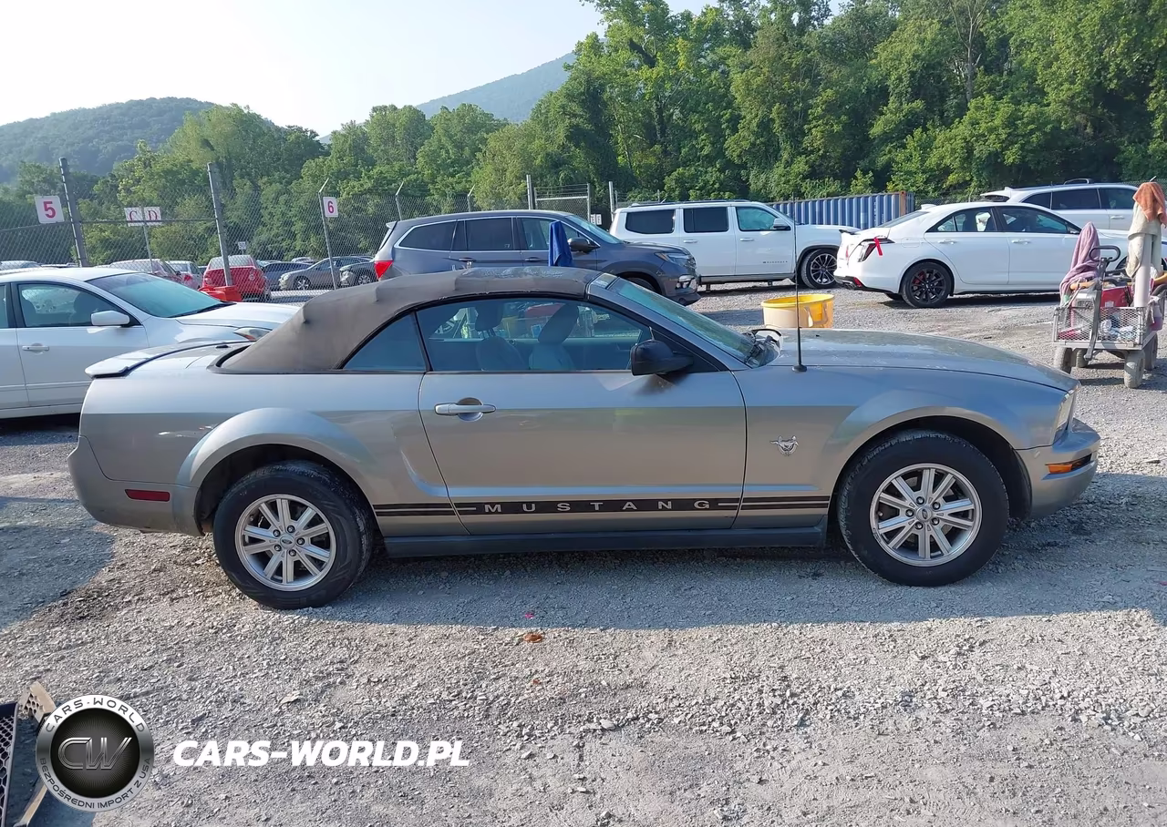 2009 Ford Mustang V6-V6 Premium VIN:1ZVHT84N395108706 - 13