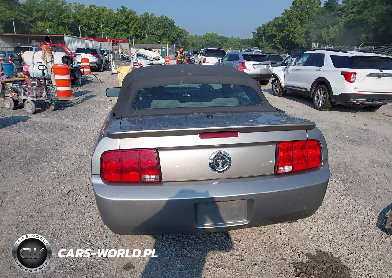2009 Ford Mustang V6-V6 Premium VIN:1ZVHT84N395108706 - 16
