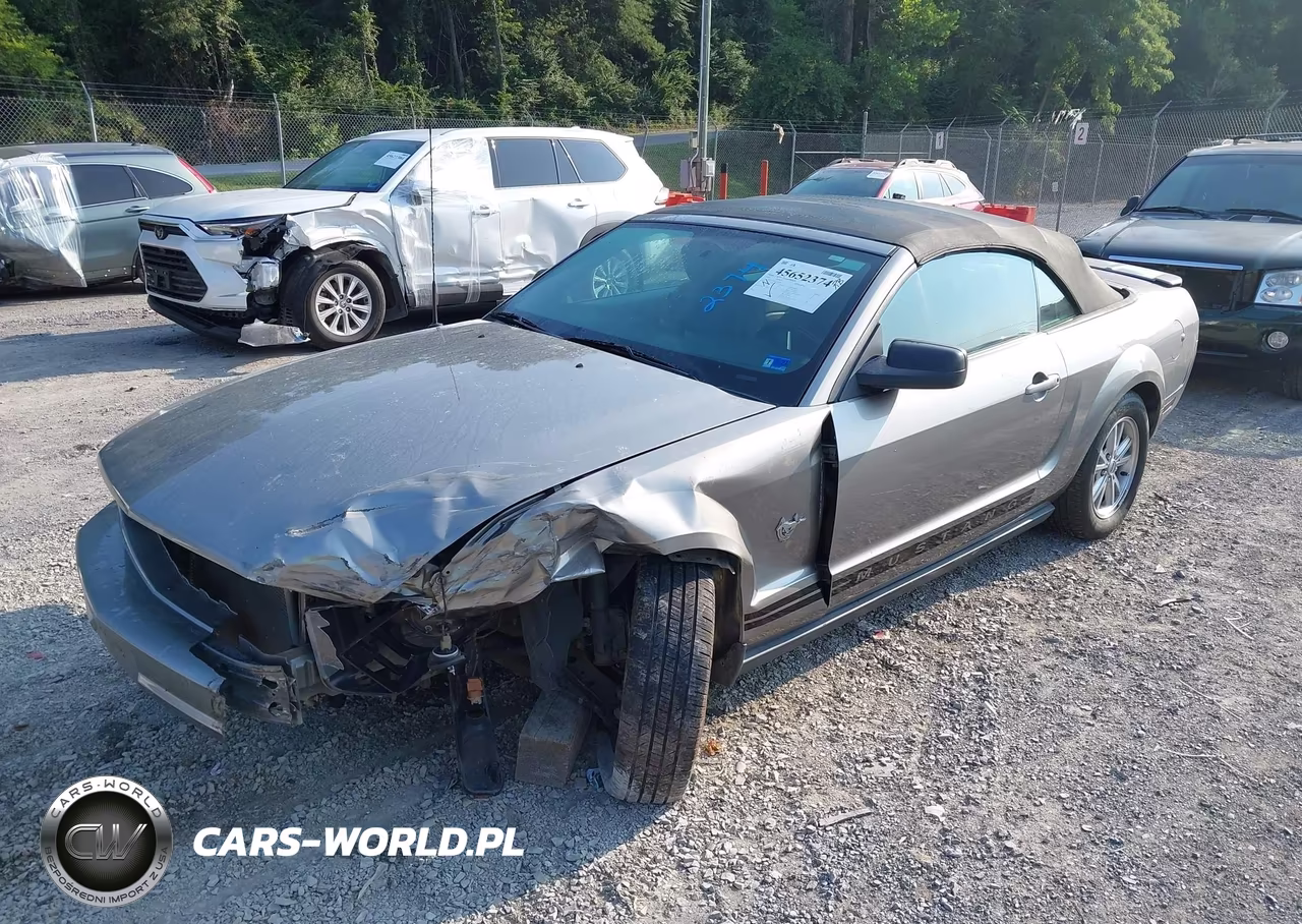 2009 Ford Mustang V6-V6 Premium VIN:1ZVHT84N395108706 - 2