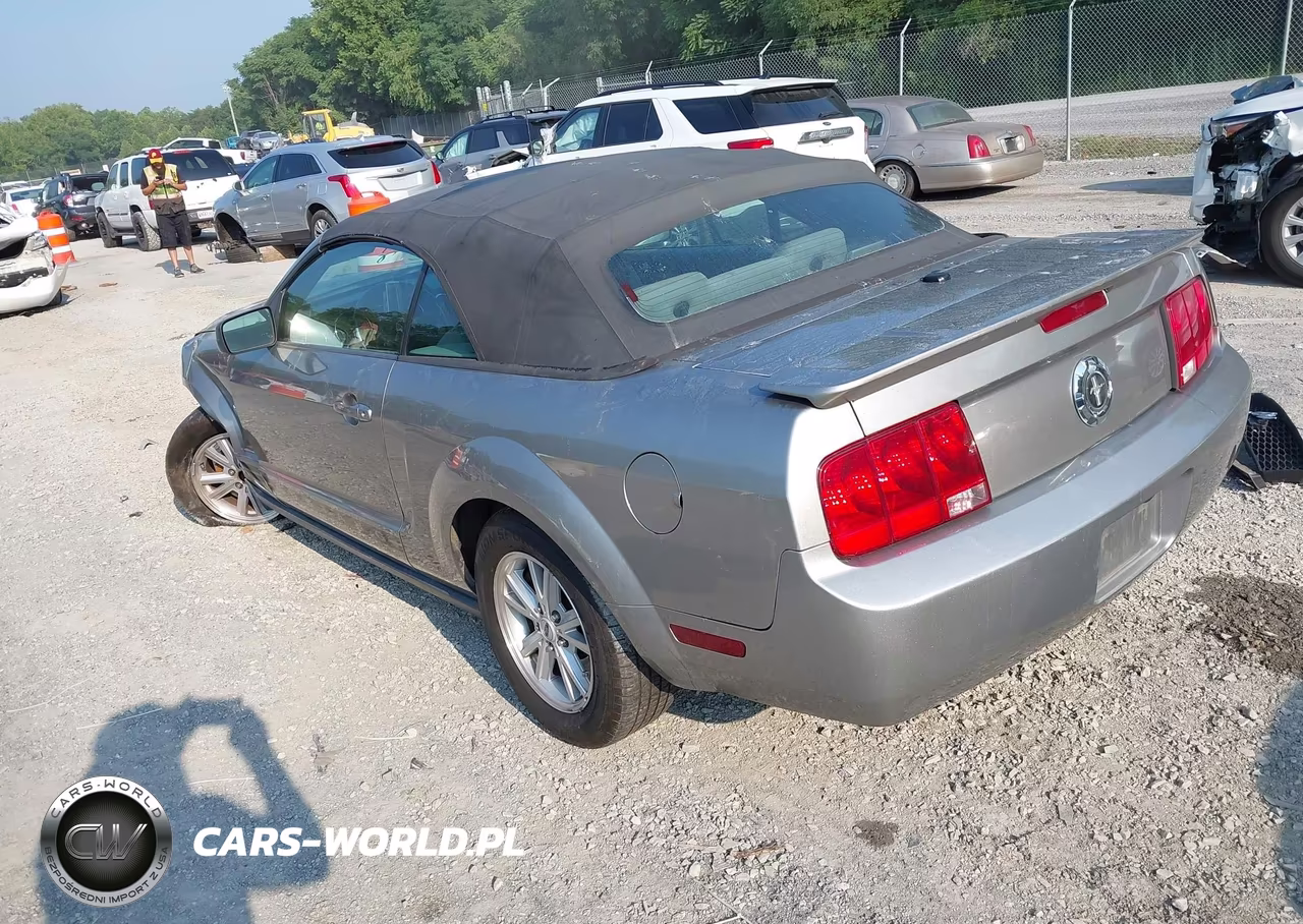 2009 Ford Mustang V6-V6 Premium VIN:1ZVHT84N395108706 - 3