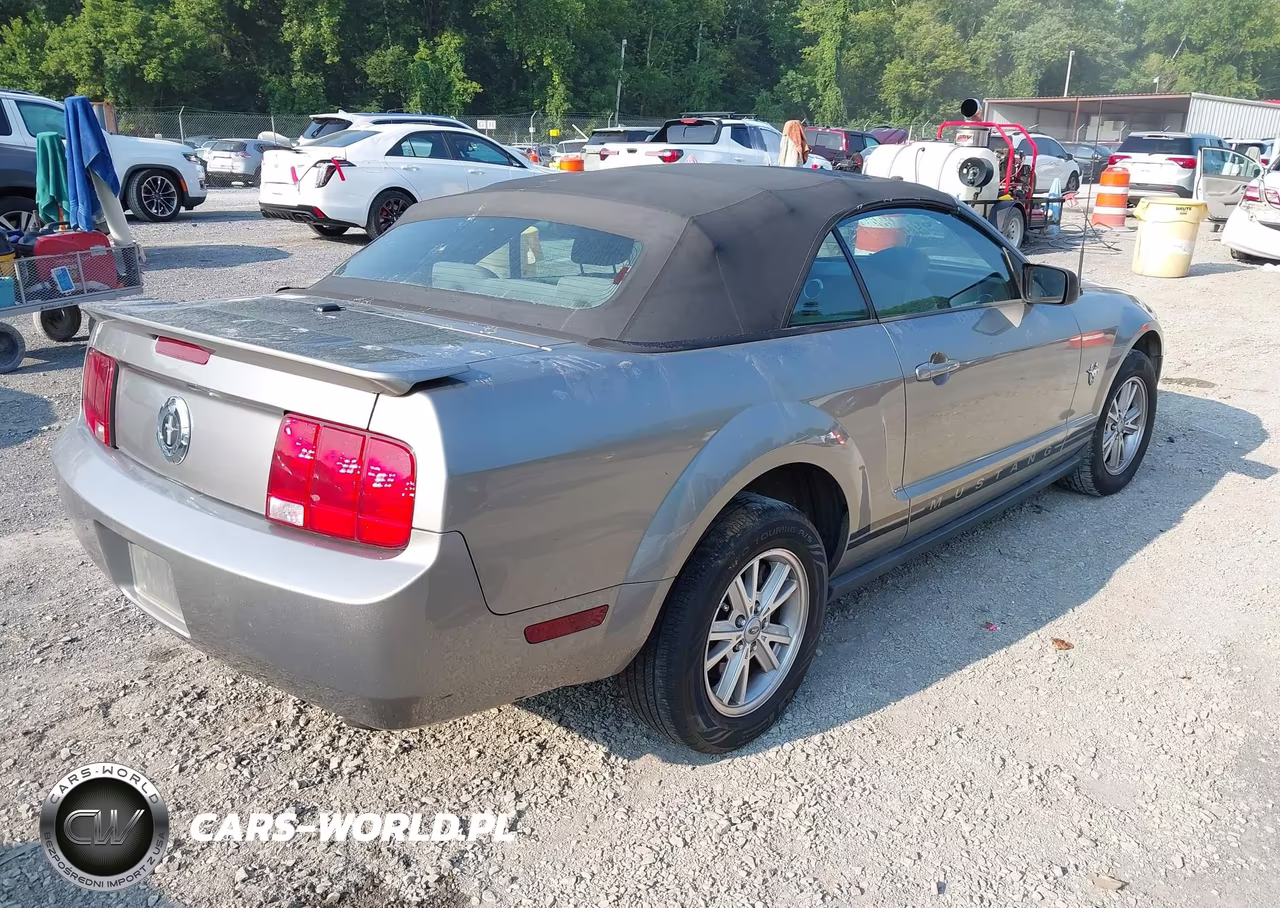 2009 Ford Mustang V6-V6 Premium VIN:1ZVHT84N395108706 - 4