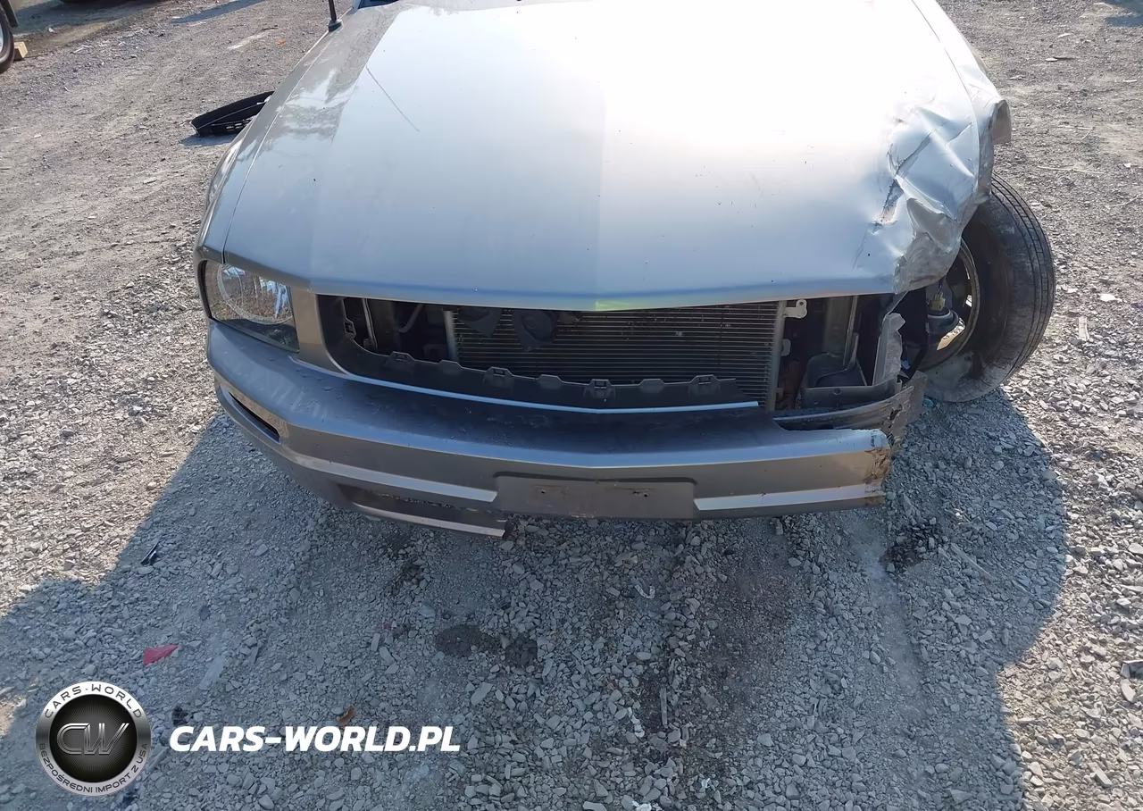 2009 Ford Mustang V6-V6 Premium VIN:1ZVHT84N395108706 - 6