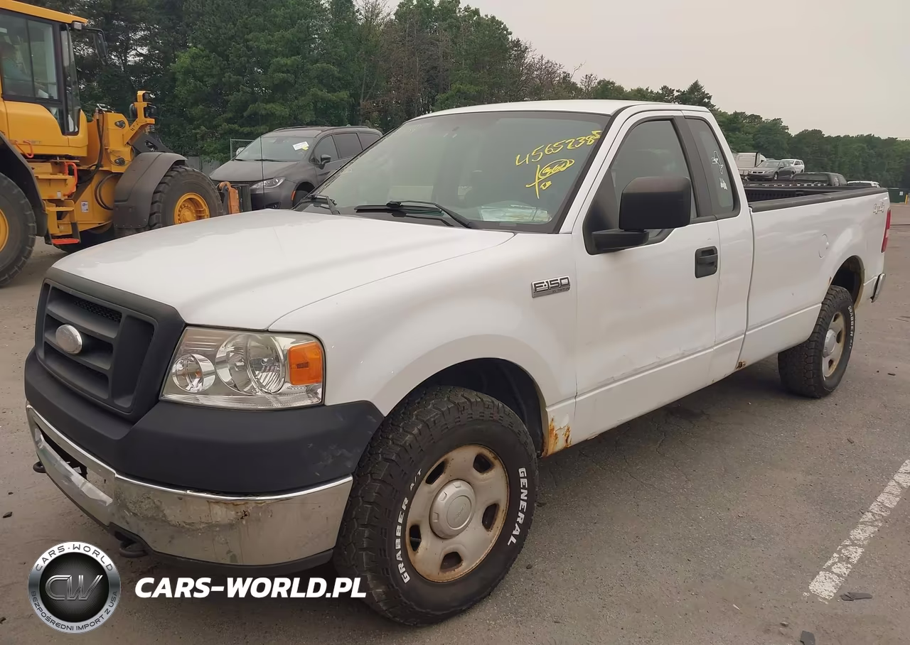 2006 Ford F-150 Stx-Xl-Xlt VIN:1FTRF14W96NB20272 - 2