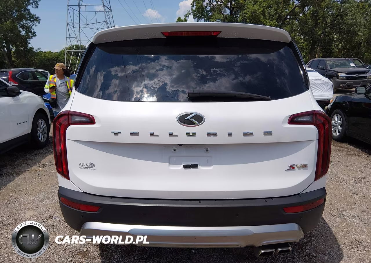 2020 Kia Telluride S VIN:5XYP64HCXLG069456 - 16