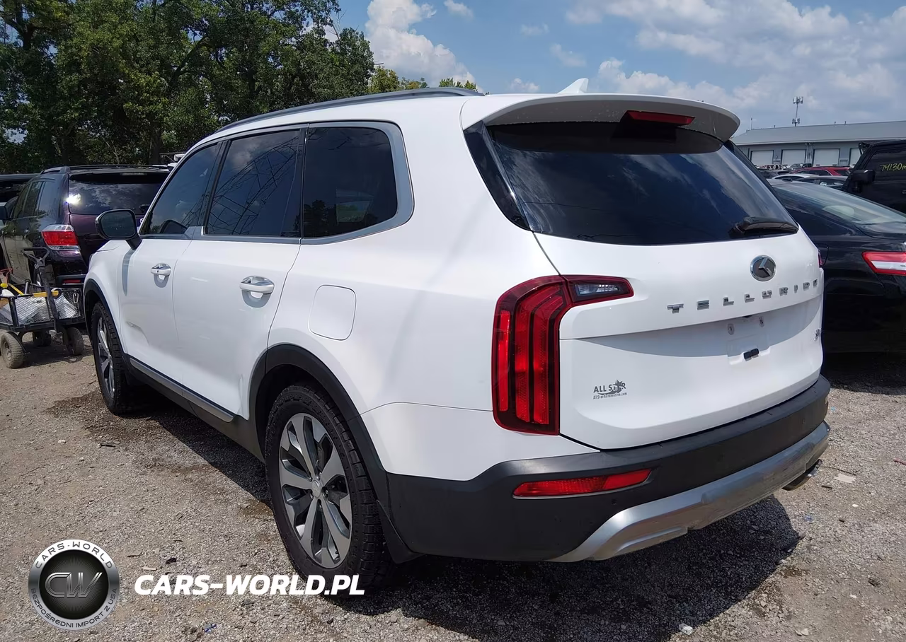 2020 Kia Telluride S VIN:5XYP64HCXLG069456 - 3