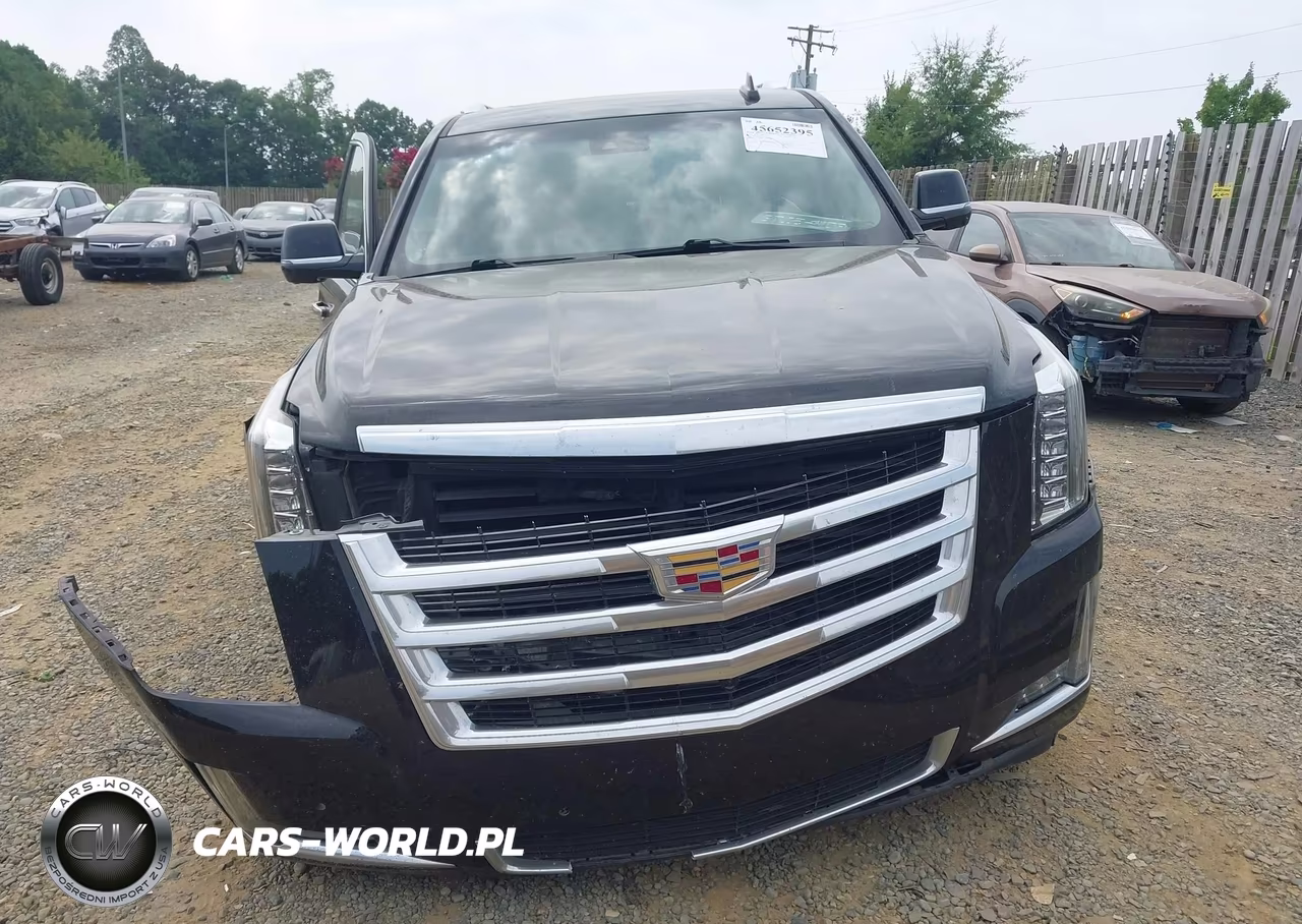 2019 Cadillac Escalade Esv Luxury VIN:1GYS3HKJ3KR288514 - 12