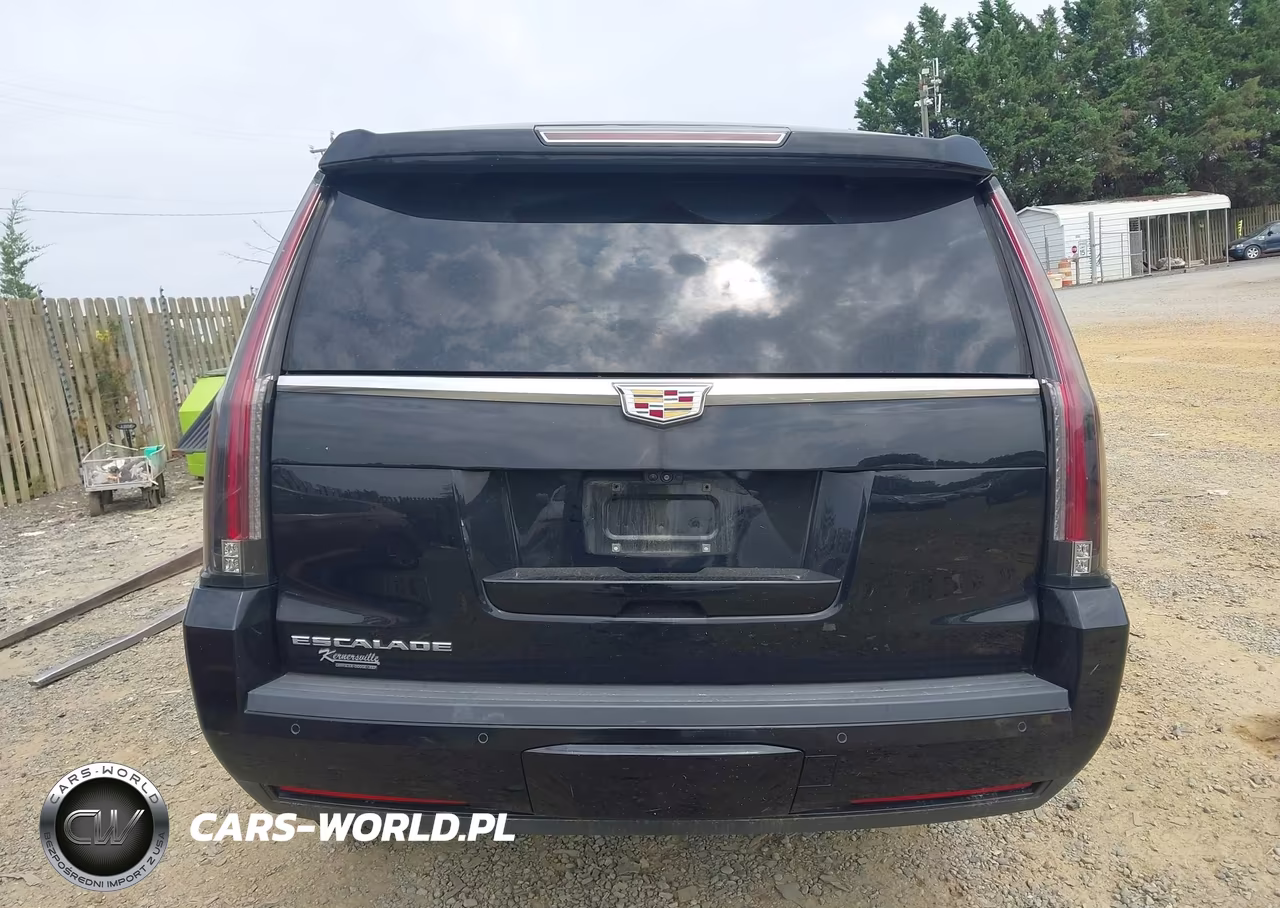 2019 Cadillac Escalade Esv Luxury VIN:1GYS3HKJ3KR288514 - 16