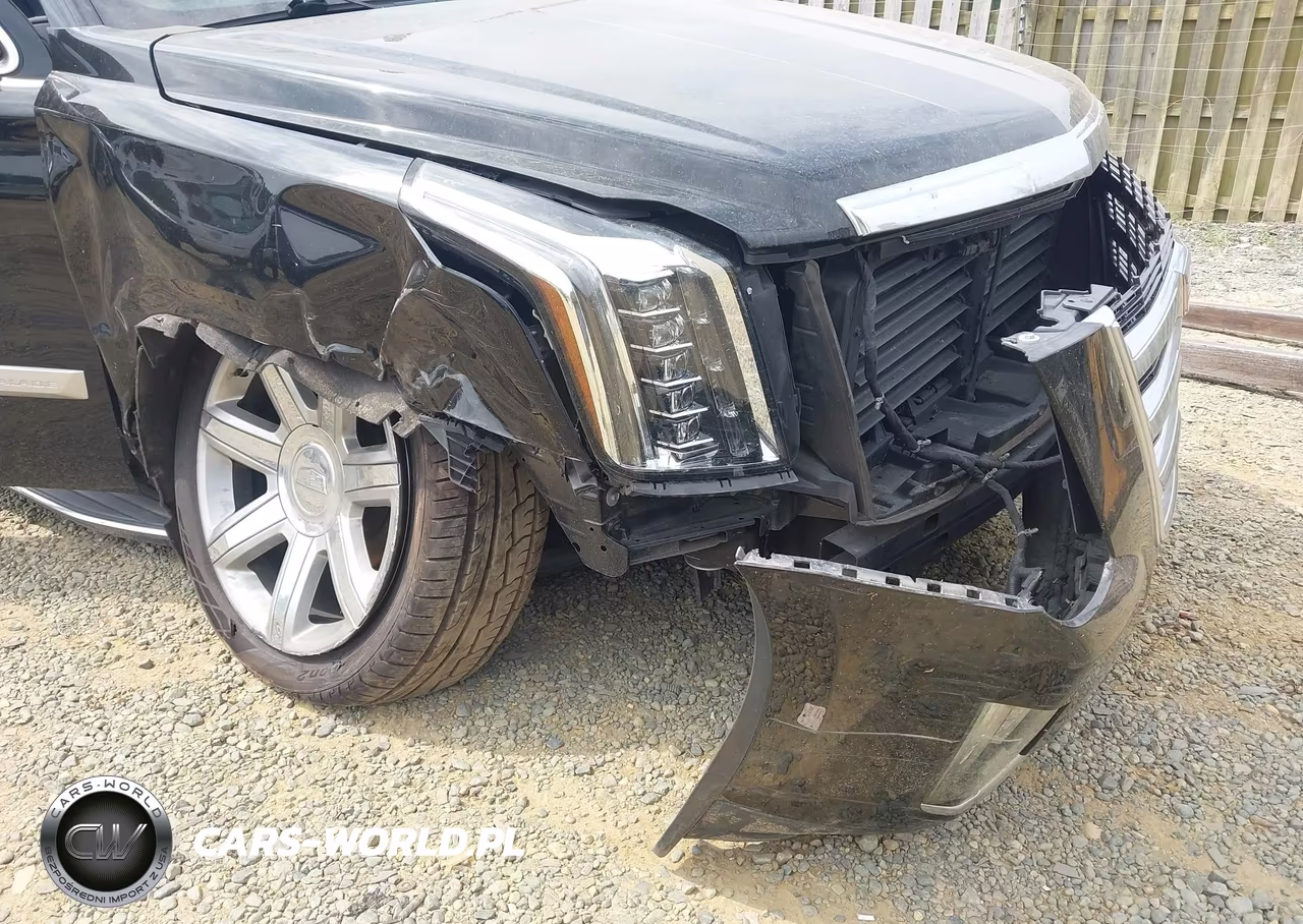 2019 Cadillac Escalade Esv Luxury VIN:1GYS3HKJ3KR288514 - 6