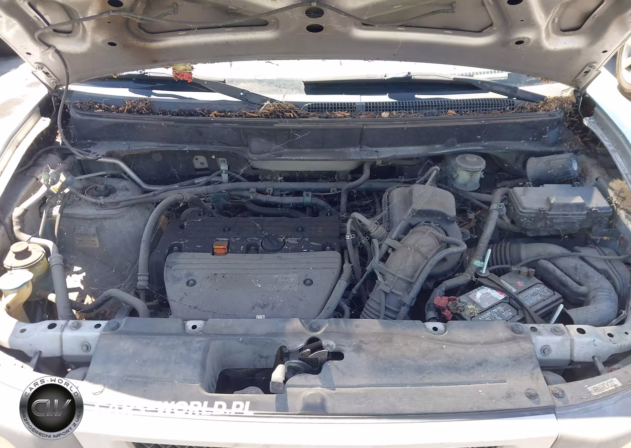 2003 Honda Element Dx VIN:5J6YH18263L006325 - 10