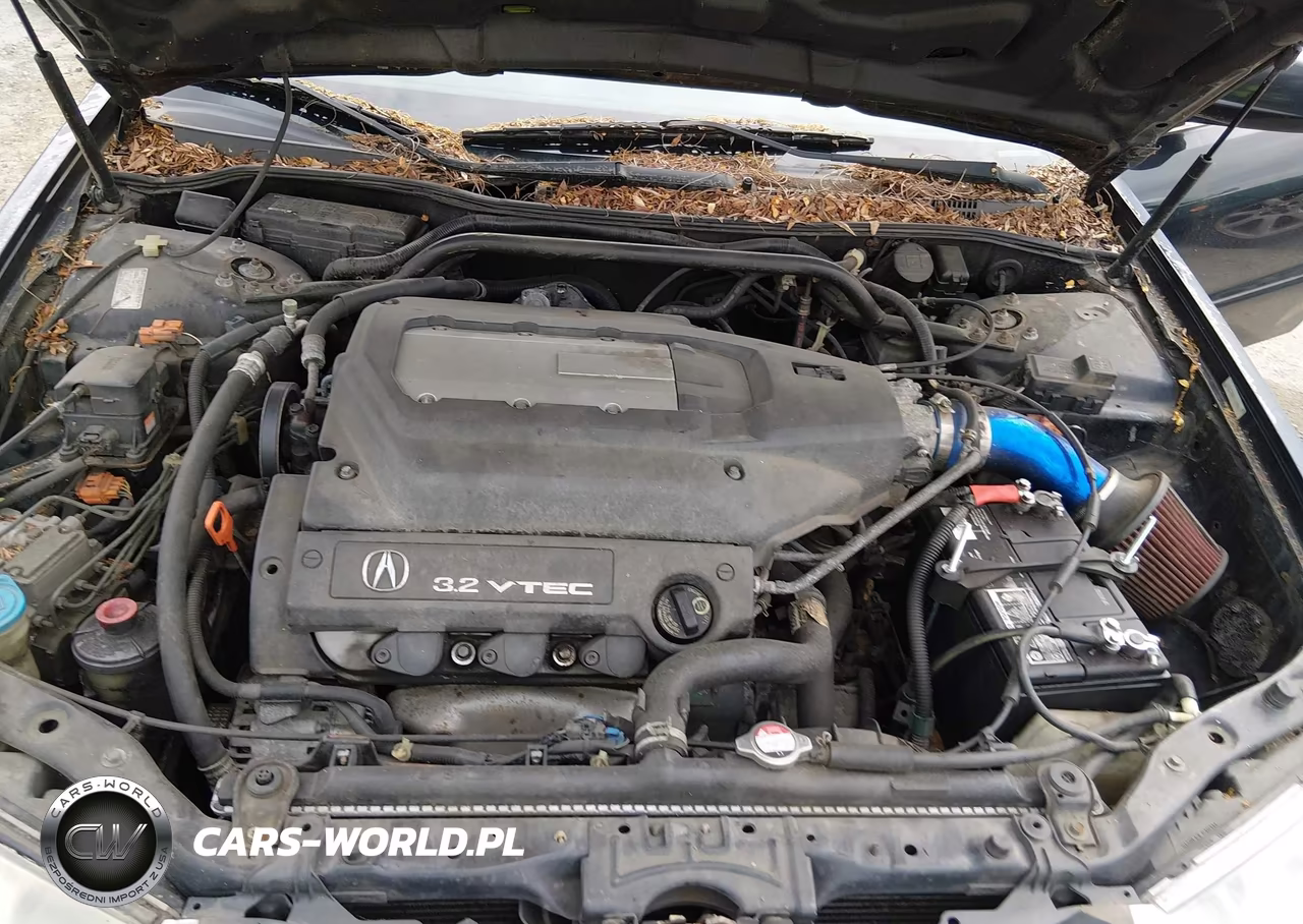 2002 Acura Tl 3.2 Type S VIN:19UUA568X2A009618 - 10