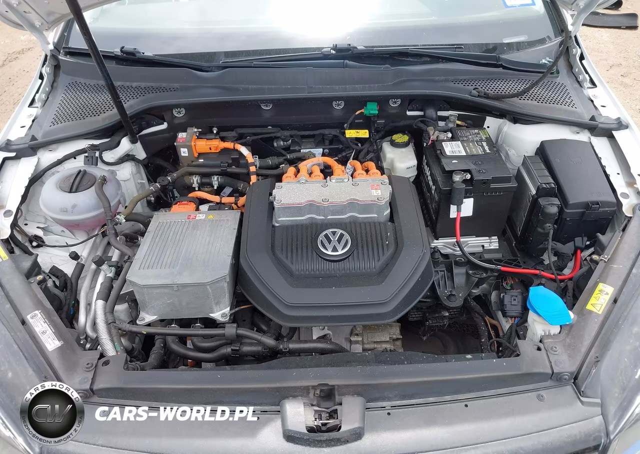 2016 Volkswagen E-Golf Sel Premium VIN:WVWPP7AU6GW916452 - 10