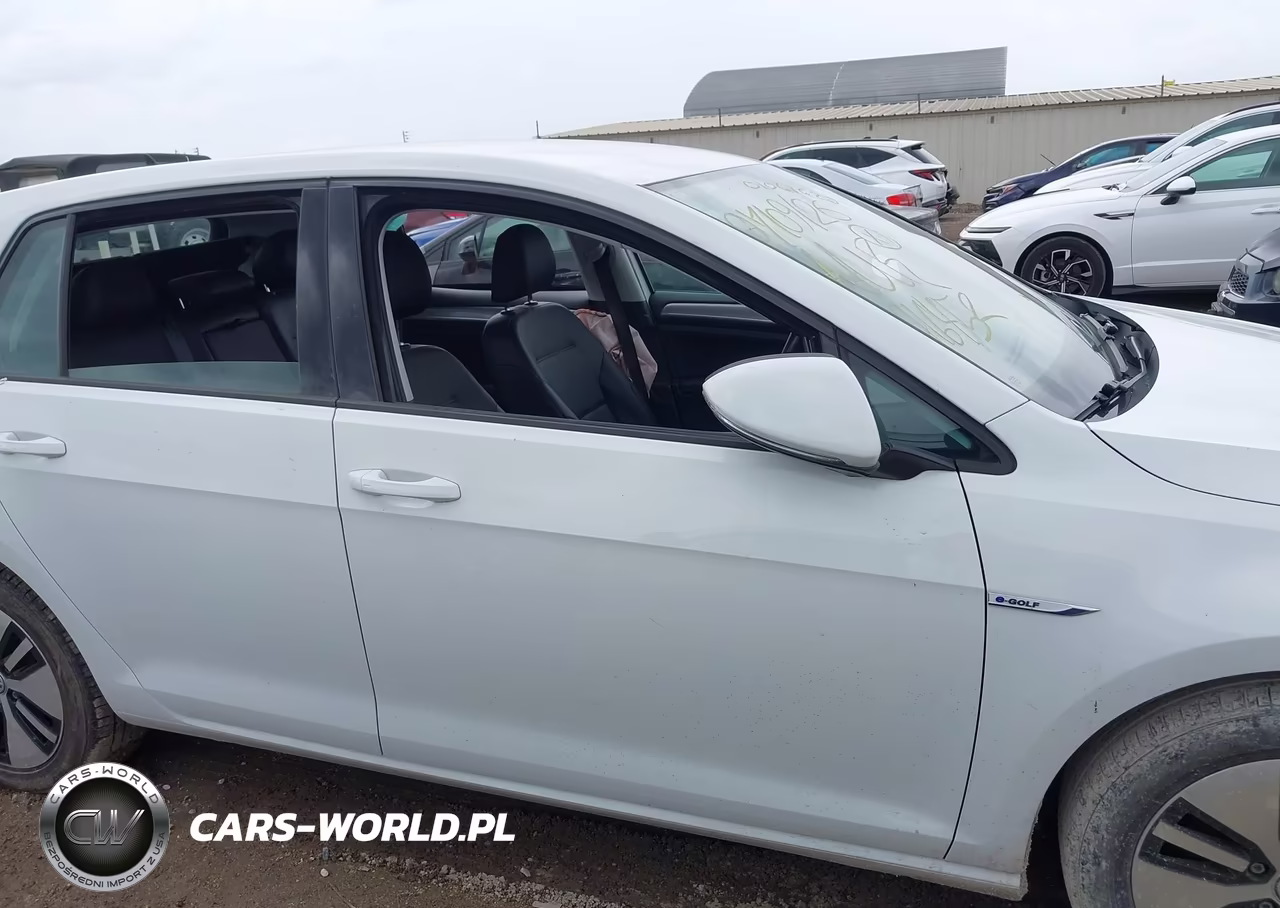 2016 Volkswagen E-Golf Sel Premium VIN:WVWPP7AU6GW916452 - 12