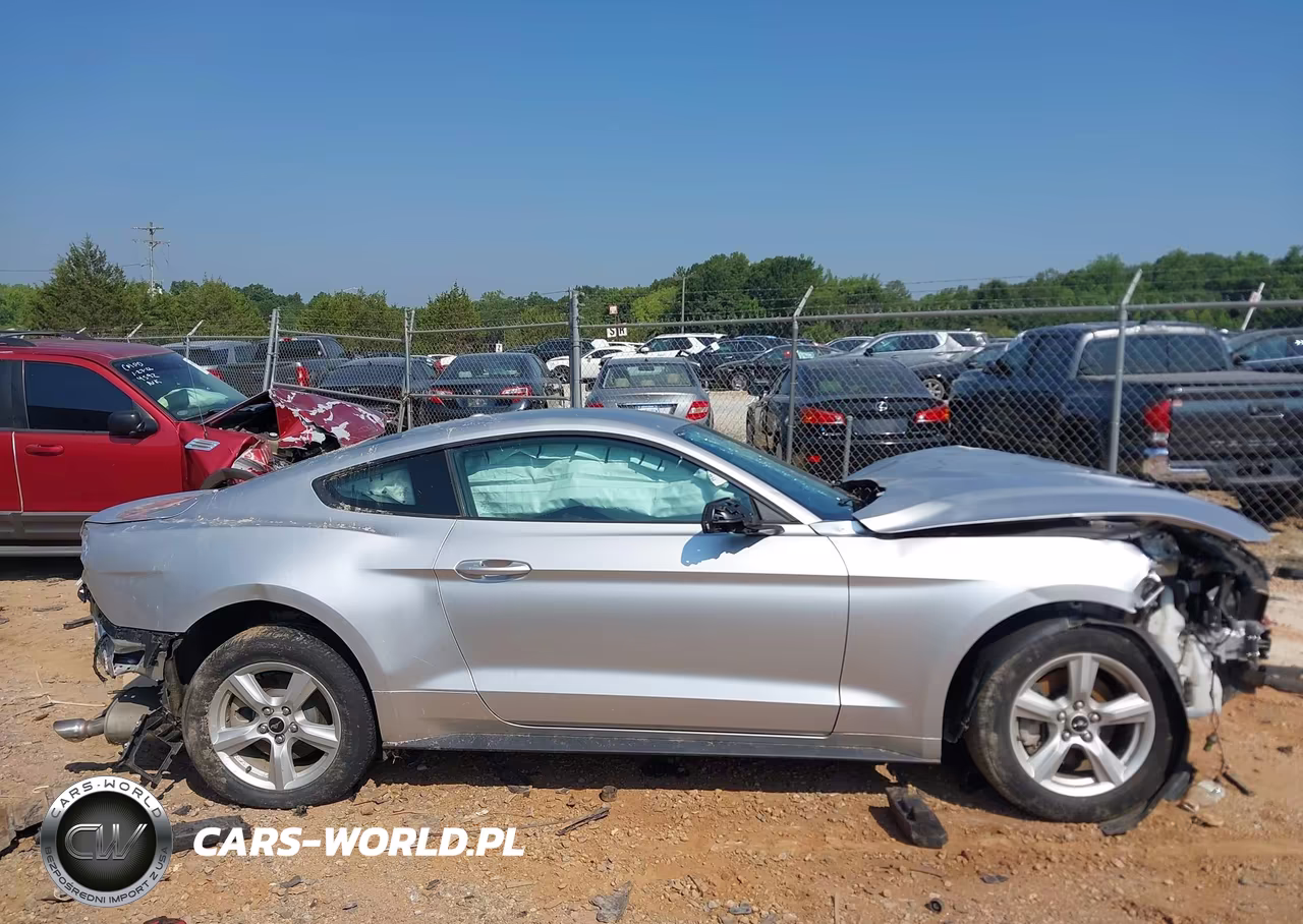 2019 Ford Mustang Ecoboost VIN:1FA6P8TH0K5180596 - 13