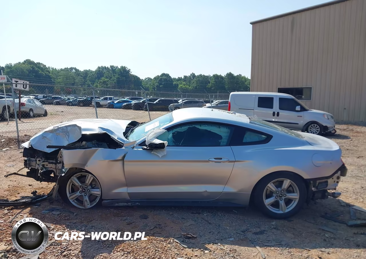 2019 Ford Mustang Ecoboost VIN:1FA6P8TH0K5180596 - 14
