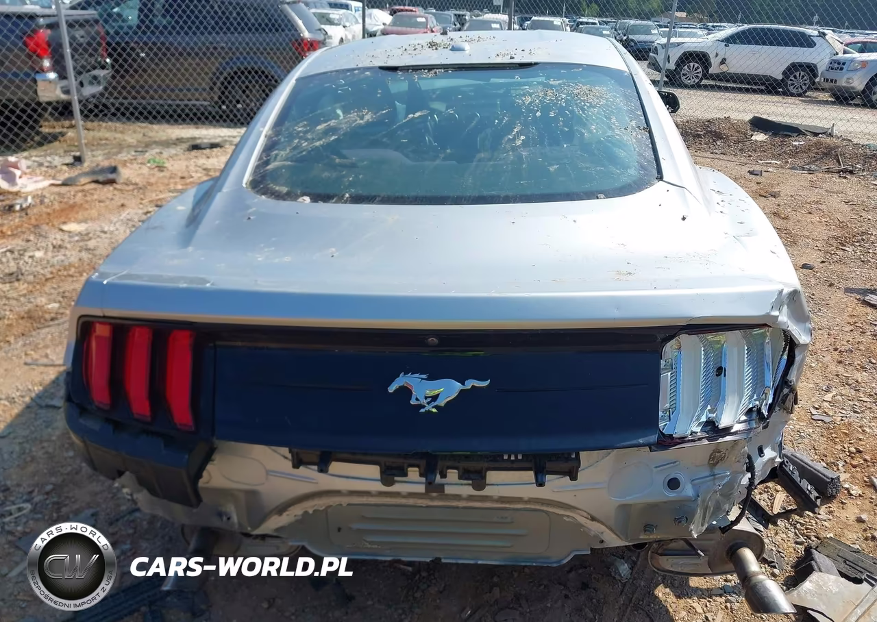 2019 Ford Mustang Ecoboost VIN:1FA6P8TH0K5180596 - 16