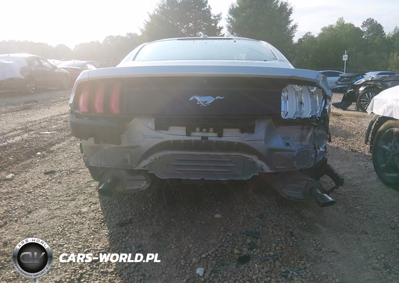 2019 Ford Mustang Ecoboost VIN:1FA6P8TH0K5180596 - 18