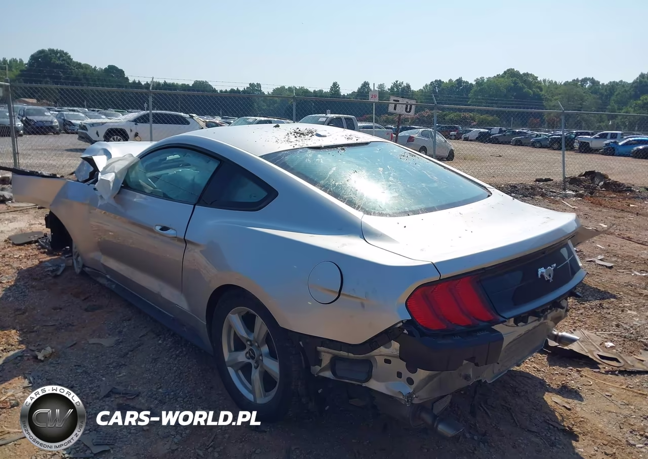 2019 Ford Mustang Ecoboost VIN:1FA6P8TH0K5180596 - 3