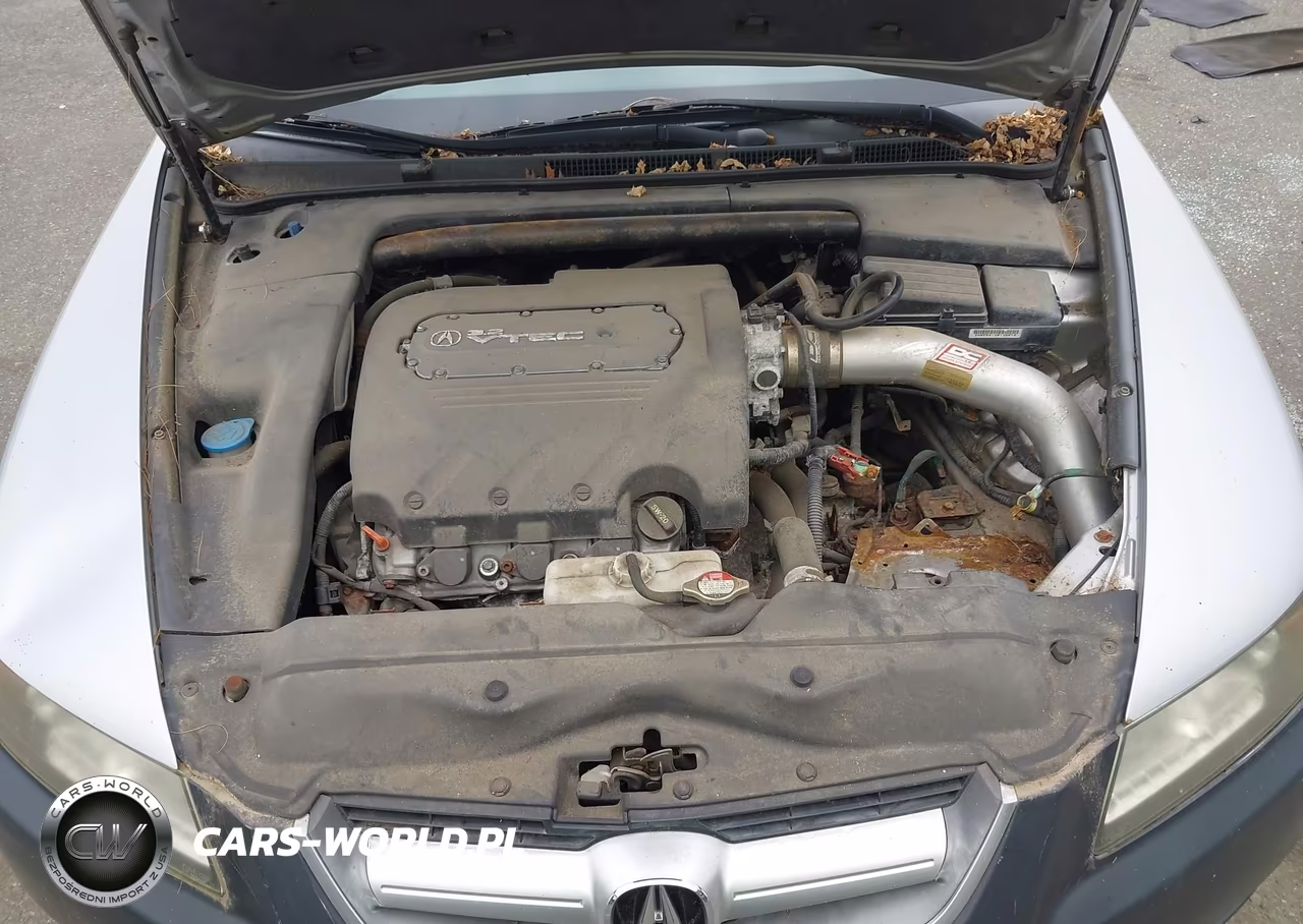 2005 Acura Tl VIN:19UUA65545A019689 - 10