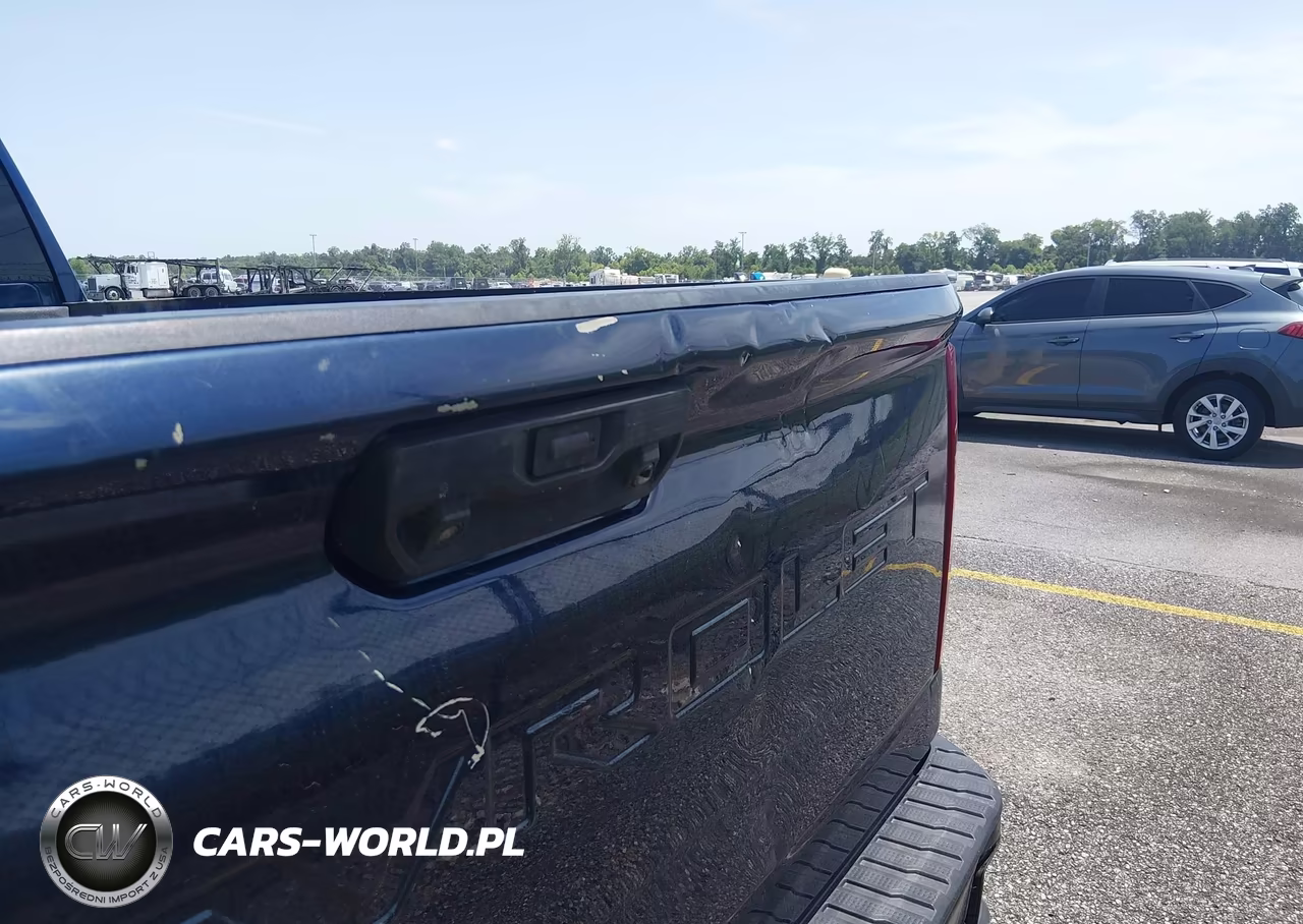 2023 Chevrolet Silverado 2500Hd 4Wd Standard Bed Wt VIN:1GC4YLE74PF187297 - 12