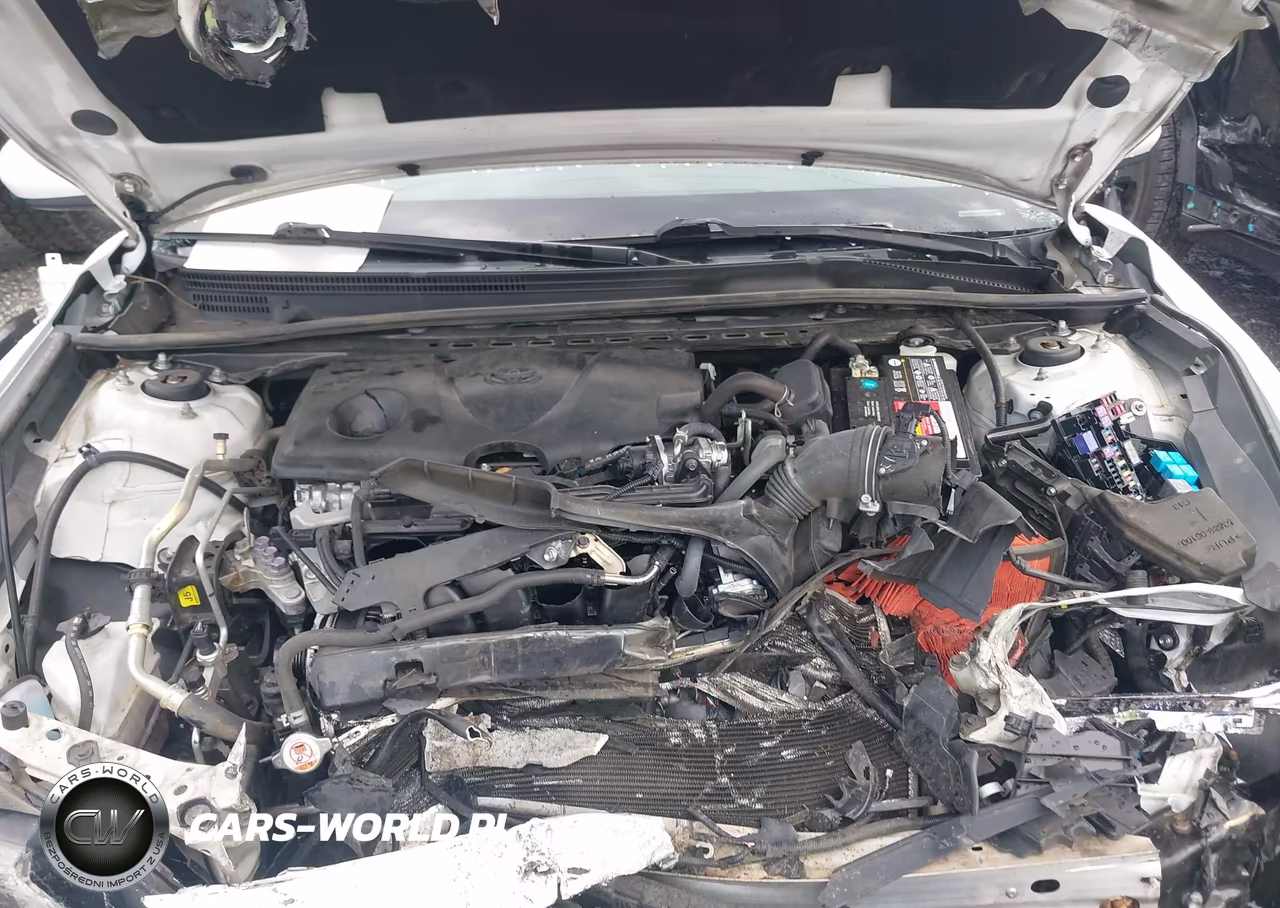 2021 Toyota Camry Le VIN:4T1C11AK4MU541563 - 10
