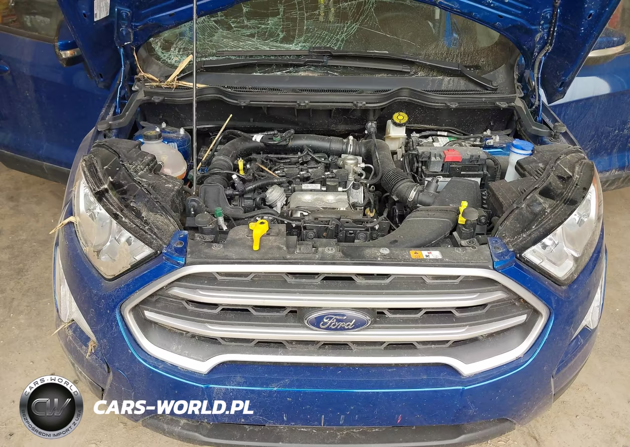 2021 Ford Ecosport Se VIN:MAJ3S2GE0MC444350 - 10