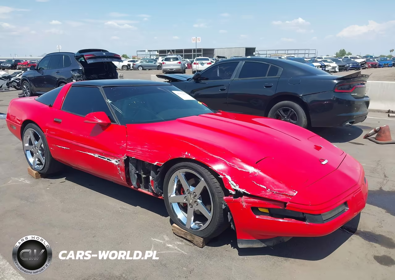 1994 Chevrolet Corvette VIN:1G1YY22P9R5103895 - 1