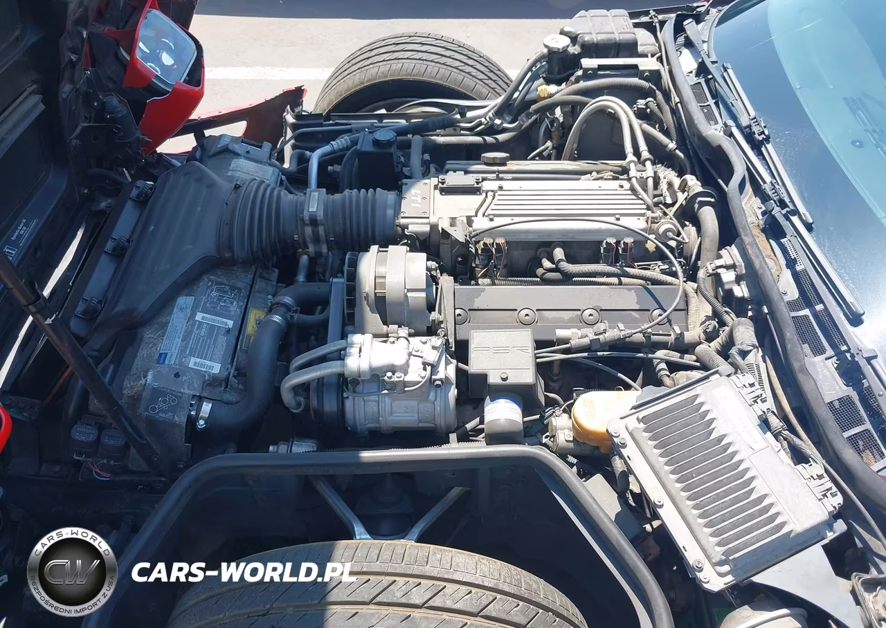 1994 Chevrolet Corvette VIN:1G1YY22P9R5103895 - 10