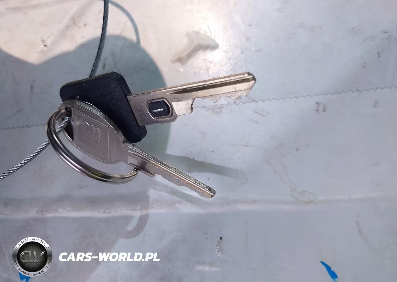 1994 Chevrolet Corvette VIN:1G1YY22P9R5103895 - 11