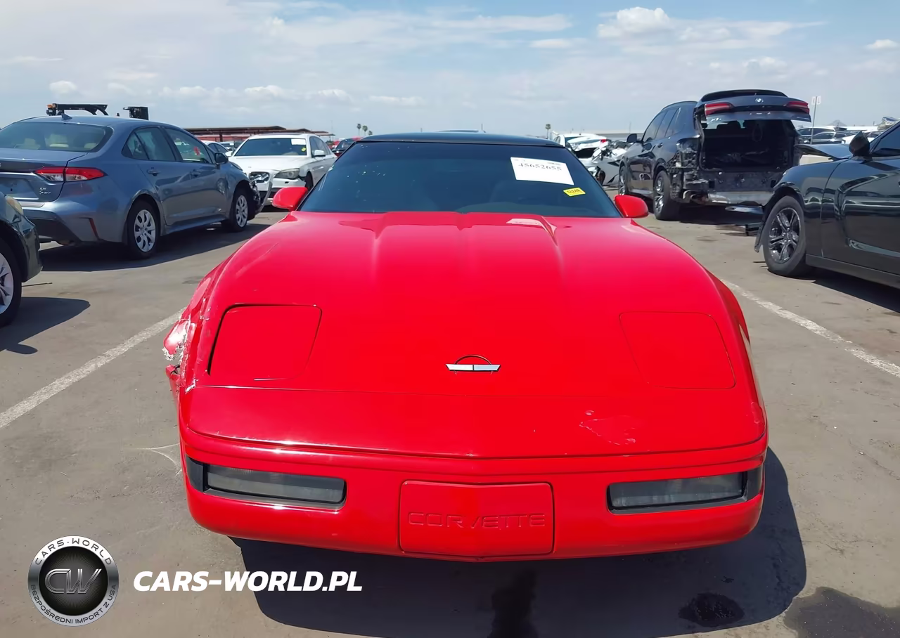 1994 Chevrolet Corvette VIN:1G1YY22P9R5103895 - 12