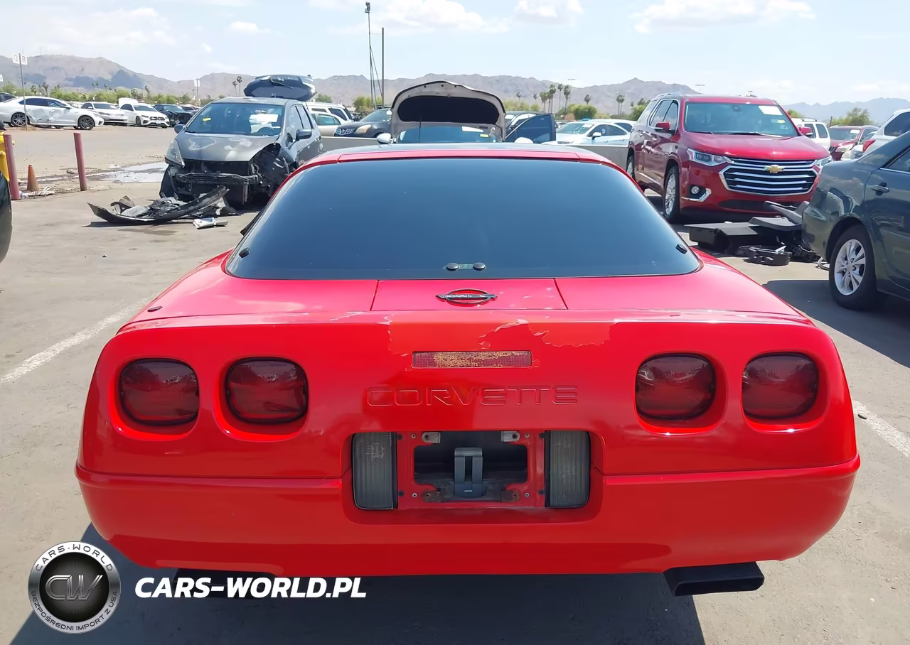 1994 Chevrolet Corvette VIN:1G1YY22P9R5103895 - 16