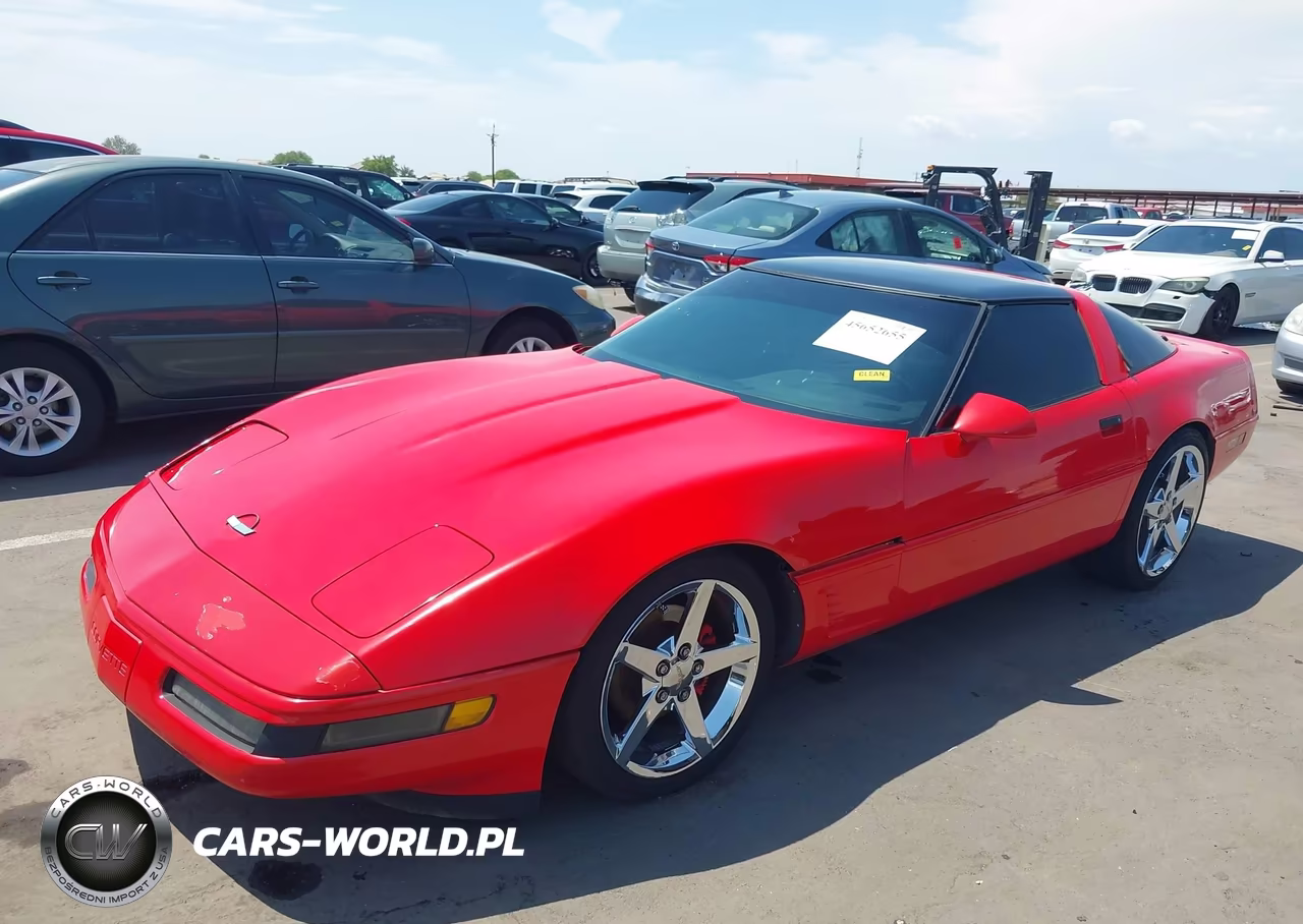 1994 Chevrolet Corvette VIN:1G1YY22P9R5103895 - 2