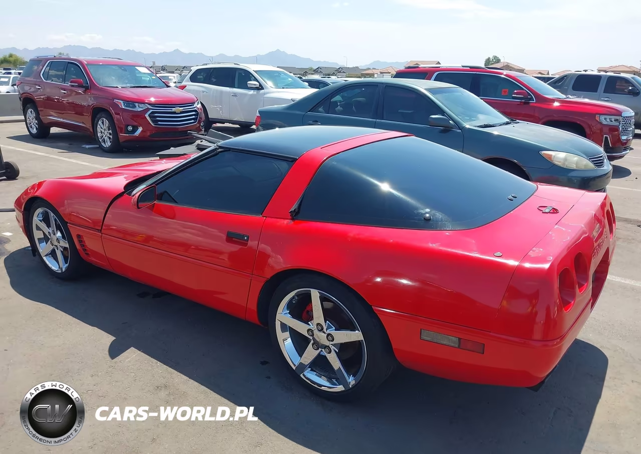 1994 Chevrolet Corvette VIN:1G1YY22P9R5103895 - 3