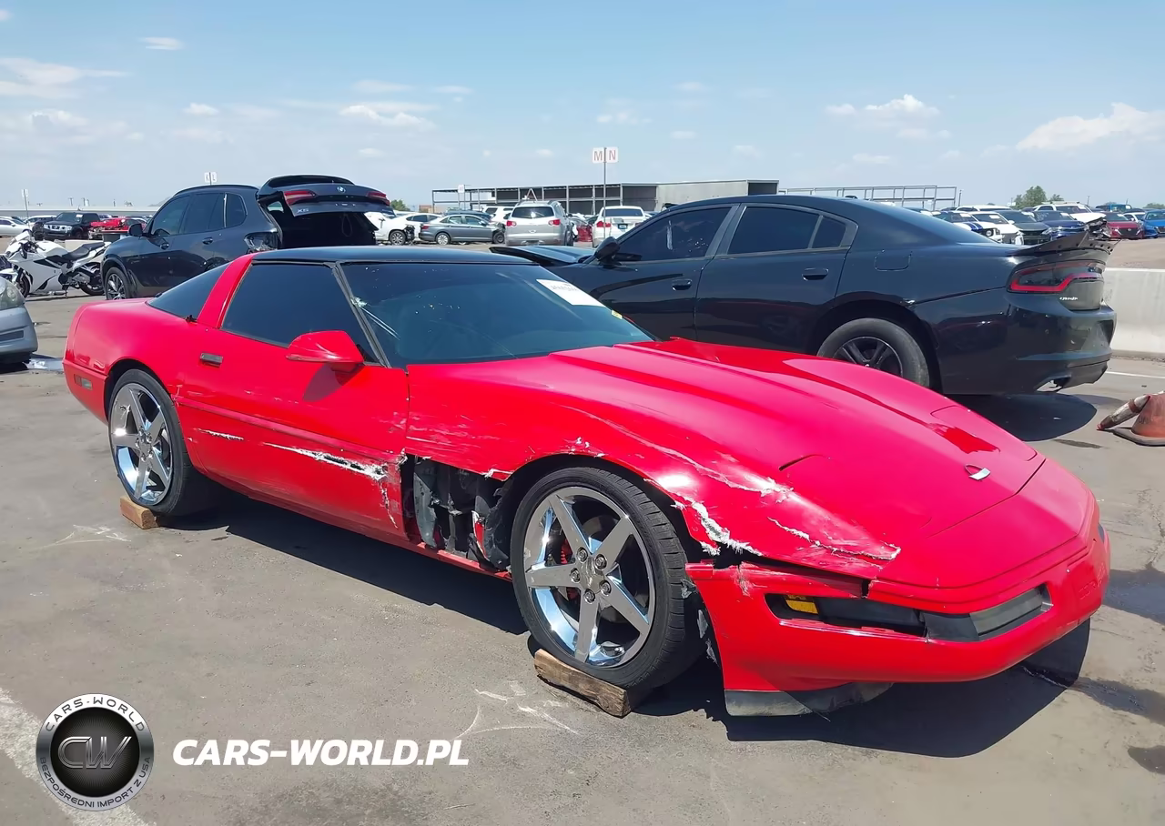 1994 Chevrolet Corvette VIN:1G1YY22P9R5103895 - 6
